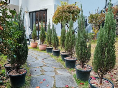 에버미라클 전경